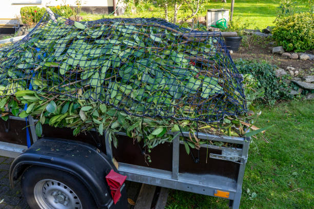 Best Retail Junk Removal  in Cicero, IL